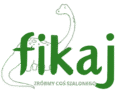 Kolonie dla dorosłych – FIKAJ